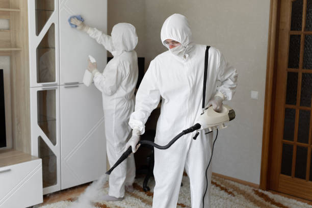 Best Home Mold Removal  in Santa Barbara, CA
