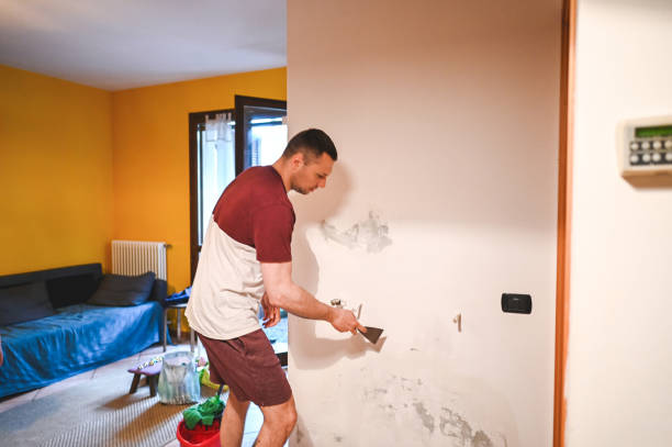 Best Fast Mold Removal  in Santa Barbara, CA