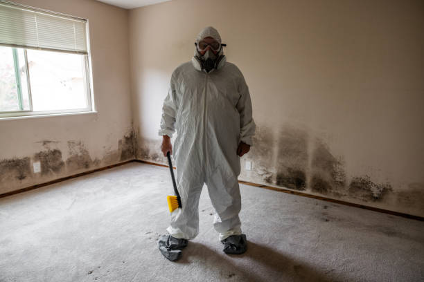 Best Commercial Mold Removal  in Santa Barbara, CA